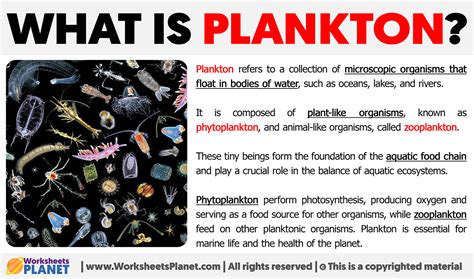 Plankton in Tagalog .